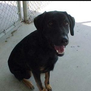 Meet your Posher, Teresa